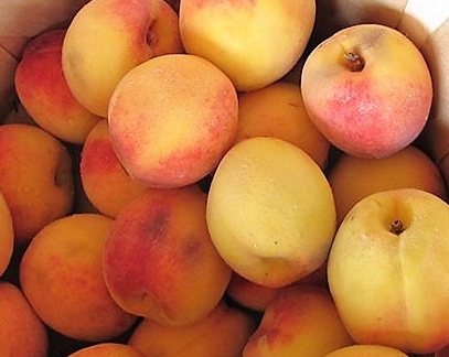 vineyard-peaches-1-1.jpg